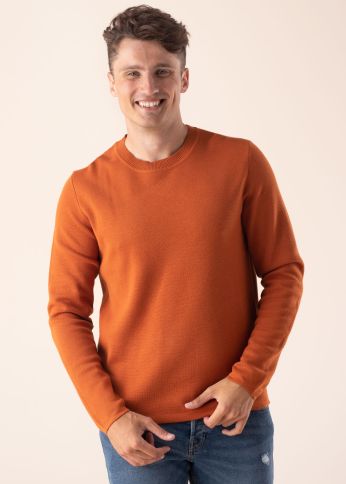 Selected Homme džemperis Martin